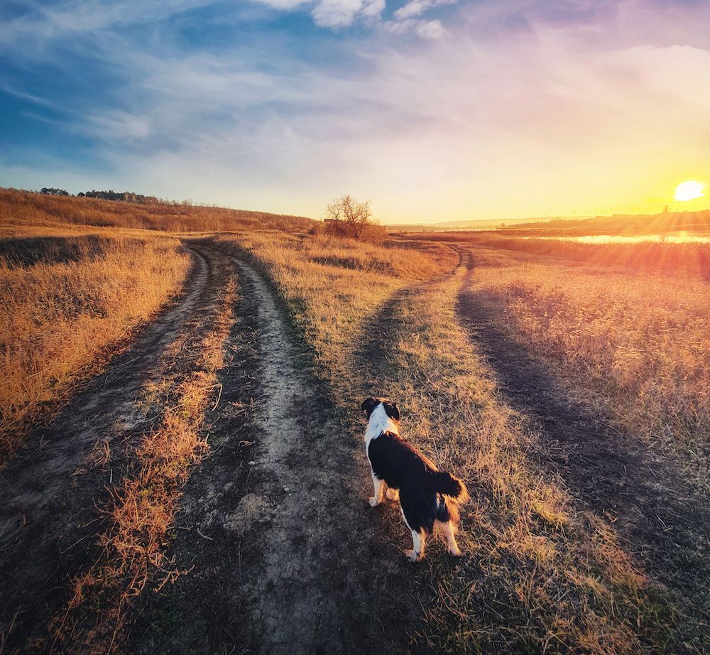 Feeling Your Stealing?